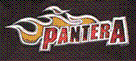 Click to visit PANTERA