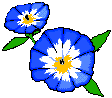 I would like to know the name of this flower