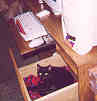 Which drawer has the cat? This is Leia's favorite place to sleep---right next to the computer