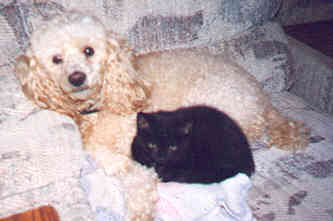 Leia loves everyone!  Especially her dog Nugget!