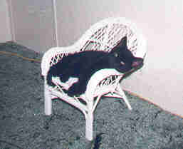 Luke in the tiny Princess Chair