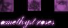 Amethyst Roses
