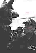 War Dogs - the Forgotten American Heroes!