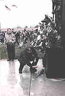 War Dogs - the Forgotten American Heroes!