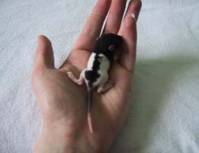 Day Thirteen