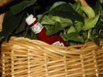 wildketchup