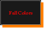 Fall Colors