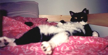 They say that pets look like their owners;
Hey, I like to relax ^,^'