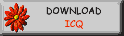 Download ICQ!!!