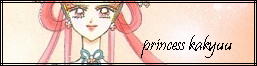 princess kakyuu