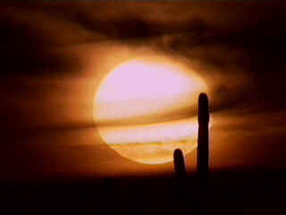 sun as seen from earth