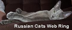 Russian Cats Webring