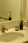 wpc5dc1288_0f.jpg