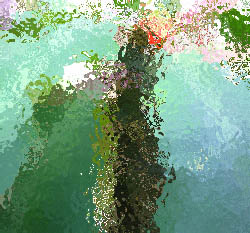 crimson glory cactus with glass effect
