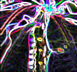 crimson glory cactus with neon effect