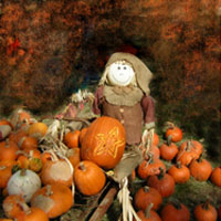 scarecrow and pumpkins