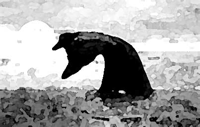 painty gray whale