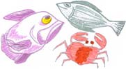 fish