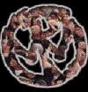 smllogo.gif (8650 byte)