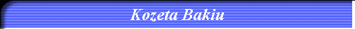 Kozeta Bakiu