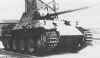 http://www.geocities.com/kp6der/pictures/panther_1.jpg (16348 bytes)