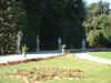 DSCF0537.JPG (72482 bytes)