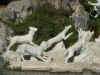 DSCF0593.JPG (73372 bytes)