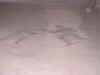 PompeiMarinaGate 041.jpg (69965 bytes)