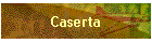 Caserta