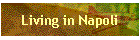 Living in Napoli