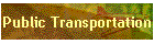 Public Transportation