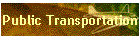 Public Transportation