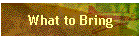 What to Bring