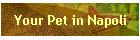 Your Pet in Napoli