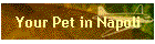 Your Pet in Napoli