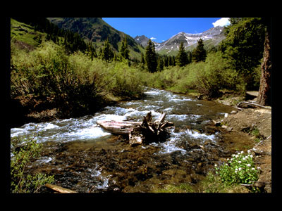 image1.jpg