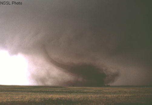 Tornado