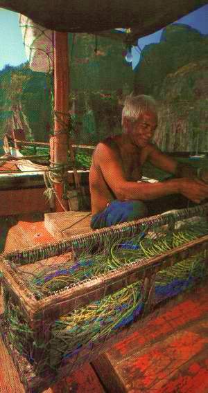 Fisherman ��ǻ����