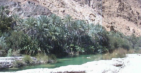Deep down wadi Tiwi