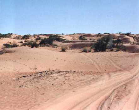 Stay on the main track or enter exciting freedom and adventure??