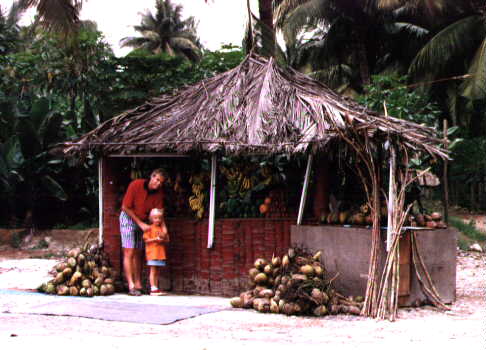 Fruit stalls everywhere
