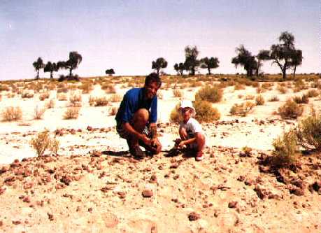 Finally we found real desert roses