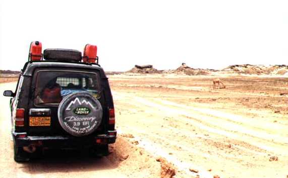 Driving in the deserted area outside Marmul