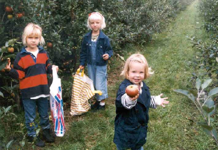 Nichtjes Kramer bezoeken een appelboomgaard met opa en oma