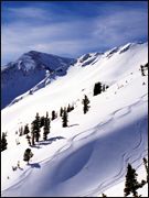 Mineral Basin - Paradise for powder guns