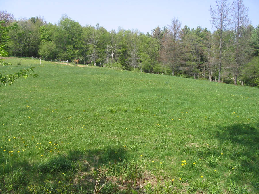 Lot 4 Still Available!