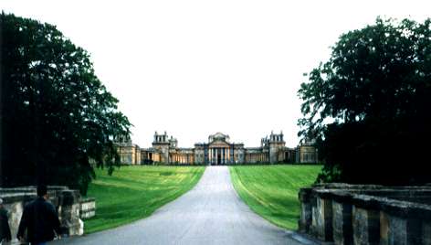 winnie's pad