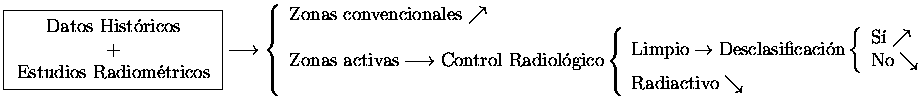 $\displaystyle \fbox{$\begin{array}{c}\mbox{Datos Hist&oacute;ricos} \\  + \\  \mbox{Es...
...ght. \\
\mbox{Radiactivo}\searrow
\end{array}\right.
\end{array}\right.
$