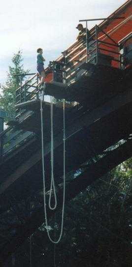 bungee2