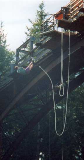 bungee3